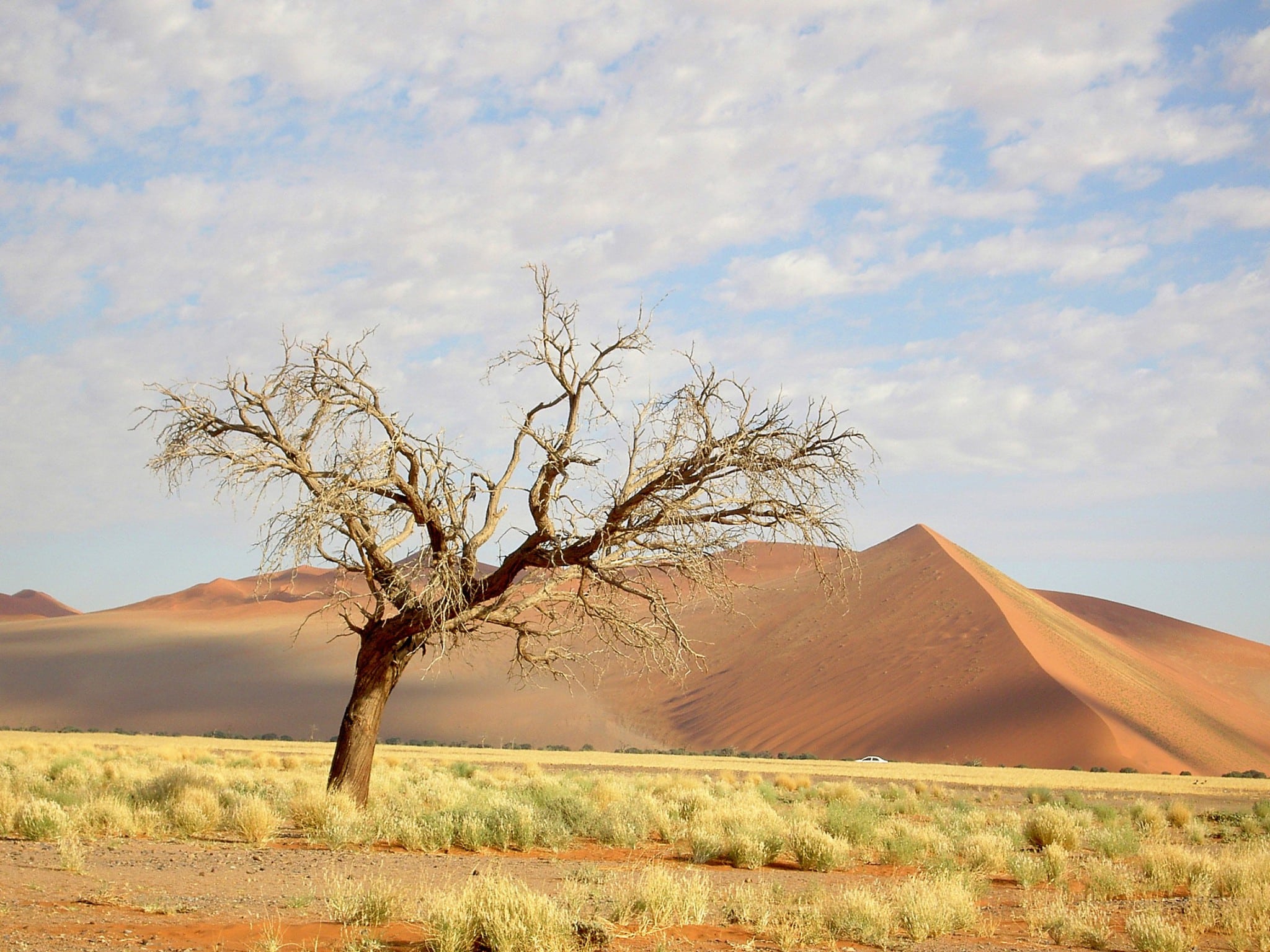 Februari 2020 | Namibië