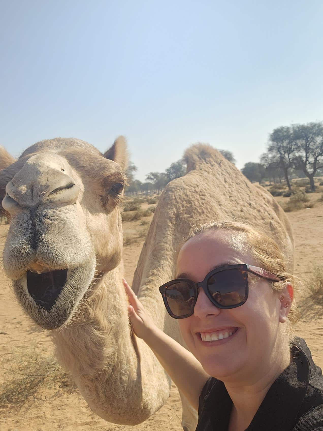 Elke is fan van Ras Al Khaimah