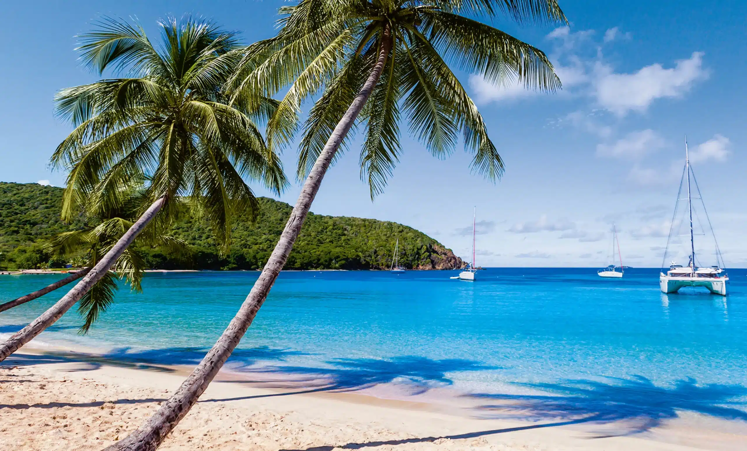 Carribean dream route